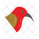 پیش‌نمایش فایل crimson-sunbird-10437111 از پک پرندگان