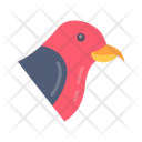 پیش‌نمایش فایل crossbill-10437112 از پک پرندگان