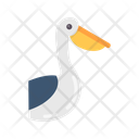 پیش‌نمایش فایل pelican-10437135 از پک پرندگان