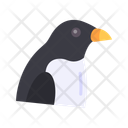 پیش‌نمایش فایل penguin-10437136 از پک پرندگان