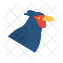 پیش‌نمایش فایل pheasant-10437137 از پک پرندگان