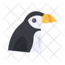 پیش‌نمایش فایل puffin-10437139 از پک پرندگان