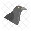پیش‌نمایش فایل raven-10437141 از پک پرندگان