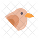 پیش‌نمایش فایل sparrow-10437146 از پک پرندگان