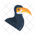 پیش‌نمایش فایل toucan-10437151 از پک پرندگان