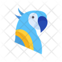 پیش‌نمایش فایل white-cockatoo-10437154 از پک پرندگان