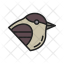 پیش‌نمایش فایل chickadee-10437258 از پک پرندگان