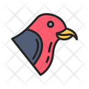 پیش‌نمایش فایل crossbill-10437261 از پک پرندگان