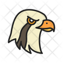 پیش‌نمایش فایل osprey-10437279 از پک پرندگان