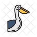 پیش‌نمایش فایل pelican-10437284 از پک پرندگان