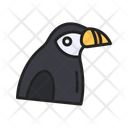 پیش‌نمایش فایل puffin-10437288 از پک پرندگان