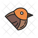 پیش‌نمایش فایل robin-10437292 از پک پرندگان