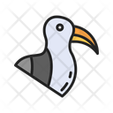 پیش‌نمایش فایل seagull-10437294 از پک پرندگان