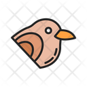 پیش‌نمایش فایل sparrow-10437295 از پک پرندگان