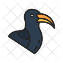 پیش‌نمایش فایل toucan-10437300 از پک پرندگان