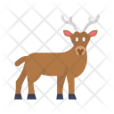 پیش‌نمایش فایل deer-10775864 از پک کریسمس
