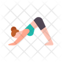 پیش‌نمایش فایل downward-facing-dog-pose-10917091 از پک حالت‌های یوگا