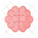پیش‌نمایش فایل brain-11067515 از پک آناتومی بدن انسان