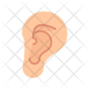 پیش‌نمایش فایل ear-11067509 از پک آناتومی بدن انسان