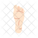 پیش‌نمایش فایل foot-11067514 از پک آناتومی بدن انسان