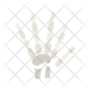 پیش‌نمایش فایل hand-skeleton-11067547 از پک آناتومی بدن انسان