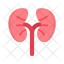 پیش‌نمایش فایل kidneys-11067519 از پک آناتومی بدن انسان