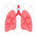 پیش‌نمایش فایل lungs-11067517 از پک آناتومی بدن انسان