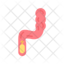 پیش‌نمایش فایل rectum-11067526 از پک آناتومی بدن انسان