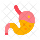 پیش‌نمایش فایل stomach-11067520 از پک آناتومی بدن انسان