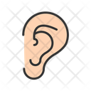 پیش‌نمایش فایل ear-11067569 از پک آناتومی بدن انسان