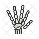 پیش‌نمایش فایل hand-skeleton-11067607 از پک آناتومی بدن انسان