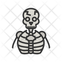 پیش‌نمایش فایل human-skeleton-11067614 از پک آناتومی بدن انسان