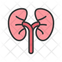 پیش‌نمایش فایل kidneys-11067579 از پک آناتومی بدن انسان