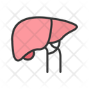پیش‌نمایش فایل liver-11067578 از پک آناتومی بدن انسان