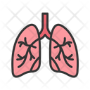 پیش‌نمایش فایل lungs-11067577 از پک آناتومی بدن انسان