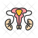 پیش‌نمایش فایل male-reproductive-sys-11067595 از پک آناتومی بدن انسان