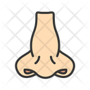 پیش‌نمایش فایل nose-11067567 از پک آناتومی بدن انسان