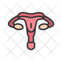 پیش‌نمایش فایل ovary-11067587 از پک آناتومی بدن انسان