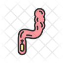 پیش‌نمایش فایل rectum-11067586 از پک آناتومی بدن انسان