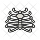پیش‌نمایش فایل ribcage-11067609 از پک آناتومی بدن انسان