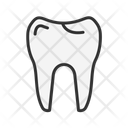 پیش‌نمایش فایل tooth-11067570 از پک آناتومی بدن انسان