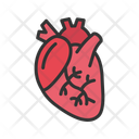 پیش‌نمایش فایل cardiology-11213538 از پک امکانات بیمارستان