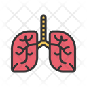 پیش‌نمایش فایل pulmonology-11213574 از پک امکانات بیمارستان