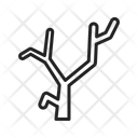 پیش‌نمایش فایل bare-tree-11237049 از پک فصل‌ها