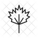 پیش‌نمایش فایل leaf-11237048 از پک فصل‌ها
