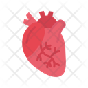 پیش‌نمایش فایل cardiology-11211529 از پک امکانات بیمارستان
