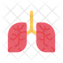 پیش‌نمایش فایل pulmonology-11211565 از پک امکانات بیمارستان