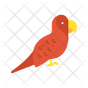 پیش‌نمایش فایل parrot-11282086 از پک دزد دریایی