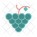 پیش‌نمایش فایل grapes-11286611 از پک فصل‌ها