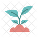 پیش‌نمایش فایل plants-11286615 از پک فصل‌ها